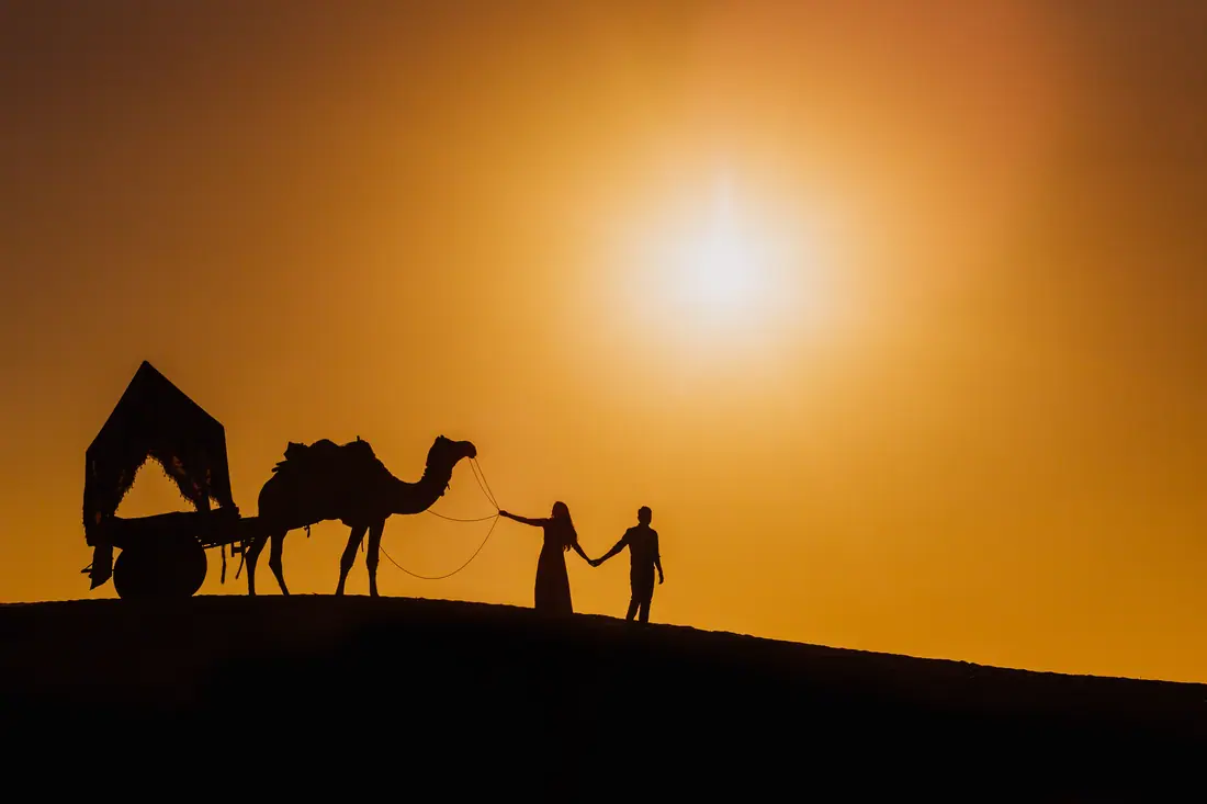 A couple and camels silhouetted against the Pushkar desert at sunset
